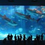 目の前が沖縄美ら海水族館！チサンリゾート沖縄美ら海